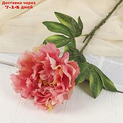 Цветы искусственные "Георгин Фин" розовый 15*57 см