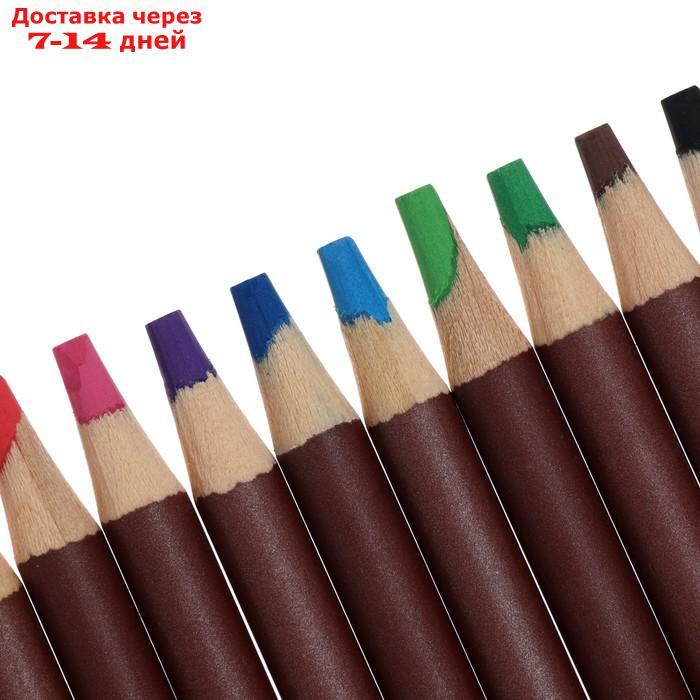 Карандаши цветные набор 12 цв BRAUBERG, пастельные, грифель 4 мм 181535 - фото 3 - id-p227130363