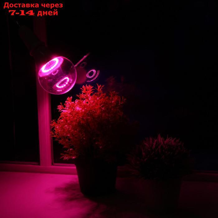 Светодиодная лампа для растений ( фитолампа ) Luazon 15 Вт, E27, 220В - фото 4 - id-p227104280