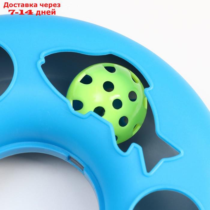 Игрушка для кошек "Загадочный круг - Рыбки", мышь на пружине и шарик, 23 х 7 см, синяя/белая 79161 - фото 6 - id-p227123367