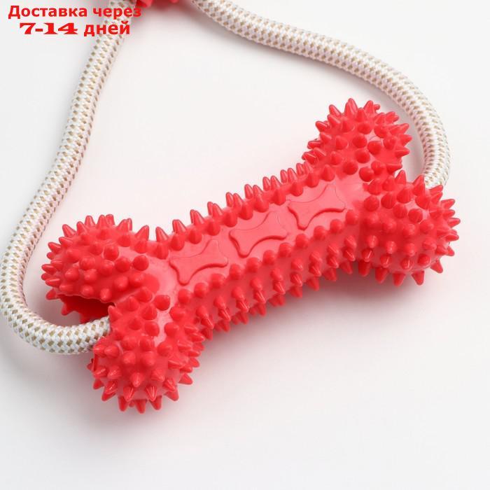 Игрушка для собак "Кость на присоске", 40 см, красная - фото 5 - id-p227123368