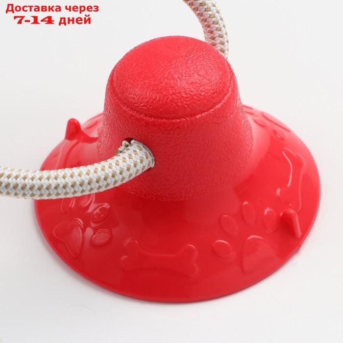 Игрушка для собак "Кость на присоске", 40 см, красная - фото 6 - id-p227123368