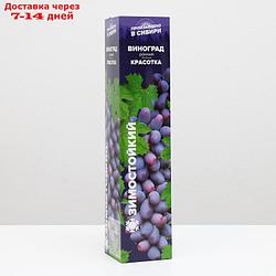 Саженец винограда Красотка, 1 шт, Весна 2022