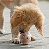 Игрушка для собак "Мяч баскетбол-лапки 2 в 1", TPR+винил, 7,5 см, прозрачная/коричневая, фото 6