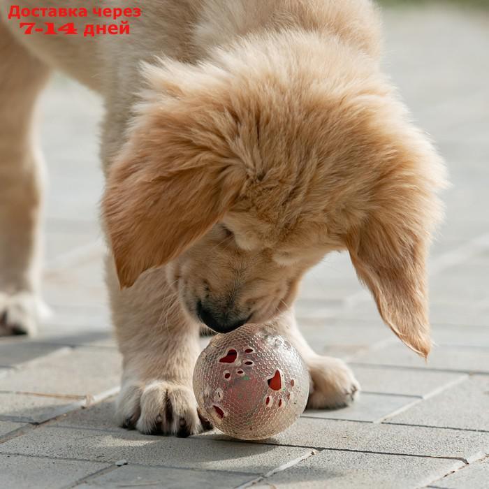 Игрушка для собак "Мяч баскетбол-лапки 2 в 1", TPR+винил, 7,5 см, прозрачная/коричневая - фото 6 - id-p227115073