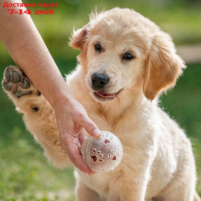 Игрушка для собак "Мяч баскетбол-лапки 2 в 1", TPR+винил, 7,5 см, прозрачная/коричневая - фото 7 - id-p227115073