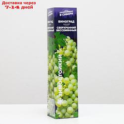 Саженец винограда Сверхранний Бессемянный, 1 шт, Весна 2022