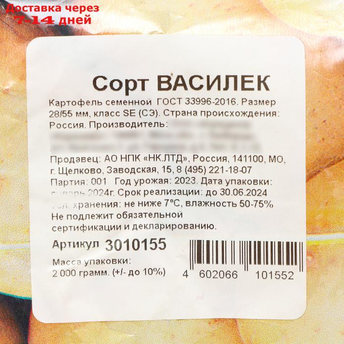 Семенной картофель "Василек" 2 кг Супер Элита, р/р 28/55 - фото 3 - id-p227111891