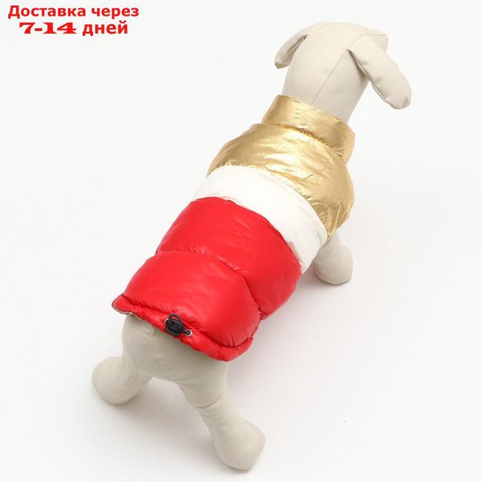 Куртка для собак с утяжкой размер 10 (ДС 25, ОГ 34,ОШ 24), золото-красная - фото 3 - id-p227122260