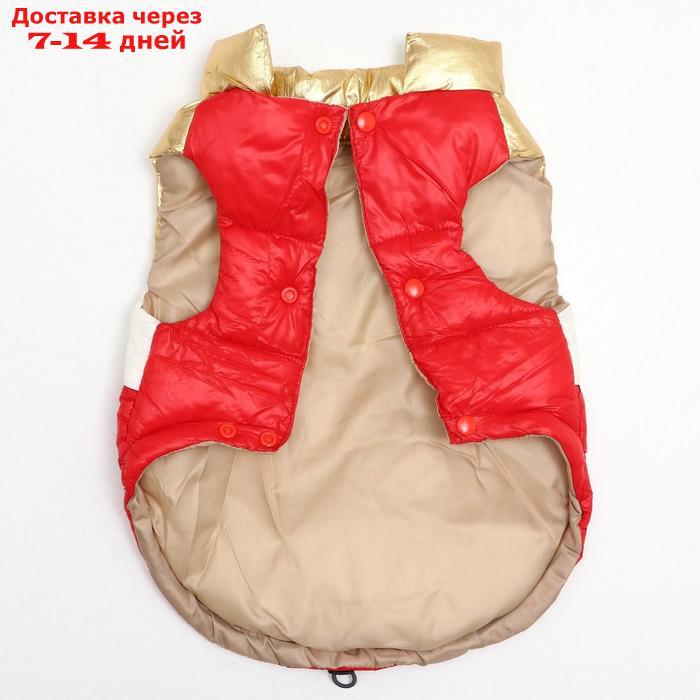 Куртка для собак с утяжкой размер 10 (ДС 25, ОГ 34,ОШ 24), золото-красная - фото 6 - id-p227122260