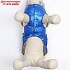 Куртка для собак с утяжкой размер 12 (ДС 28, ОГ 38, ОШ 27), серебряно-синяя, фото 5