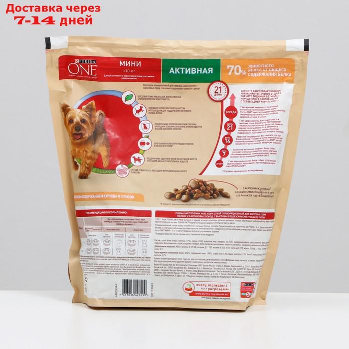 Сухой корм Purina One mini "Активная" для собак мелких пород, курица/рис, 1,5 кг - фото 2 - id-p227121177
