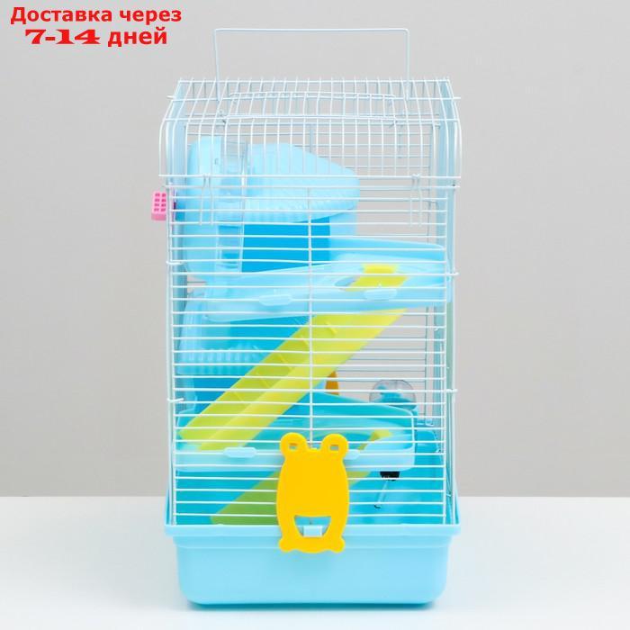 Клетка для грызунов "Пижон", двухэтажная с наполнением 31 х 24 х 40 см, голубая - фото 3 - id-p227121178