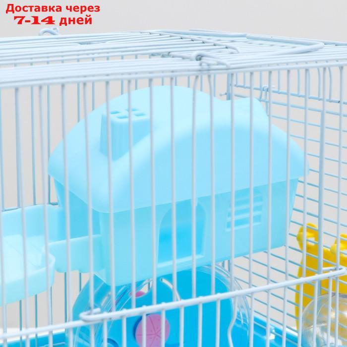 Клетка для грызунов "Пижон", укомплектованная, 27 х 21 х 26 см, синяя - фото 5 - id-p227121179