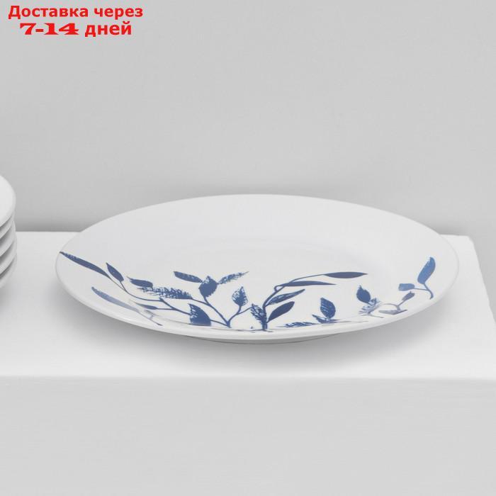 Набор тарелок Доляна Ternura, 18 предметов: 6 тарелок 20/25 см, 6 тарелок суповых - фото 8 - id-p227118605