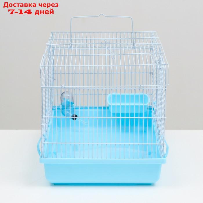 Клетка для грызунов "Пижон", 47 х 30 х 30 см, голубая - фото 3 - id-p227121182