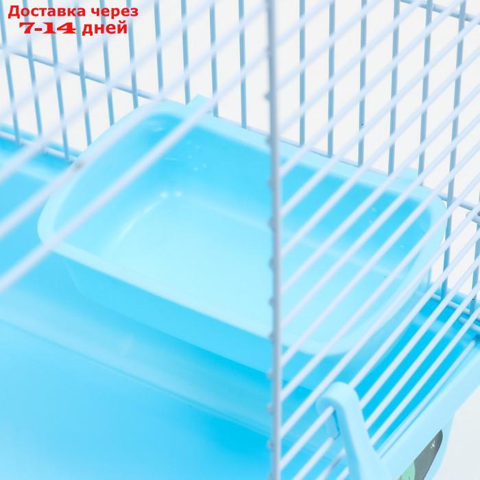 Клетка для грызунов "Пижон", 47 х 30 х 30 см, голубая - фото 5 - id-p227121182