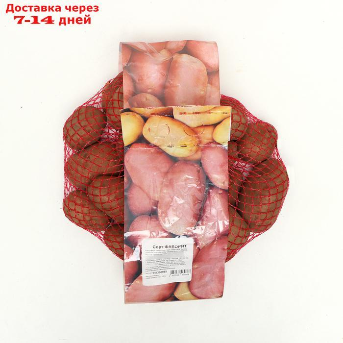 Семенной картофель "Фаворит" 2 кг Элита, р/р 28/55 - фото 1 - id-p227125455