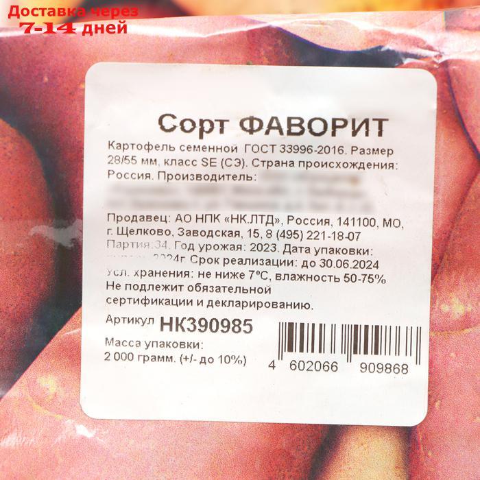 Семенной картофель "Фаворит" 2 кг Элита, р/р 28/55 - фото 3 - id-p227125455