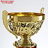 Кубок спортивный 155 B цвет зол, 35 × 11,5 × 8 см, фото 6