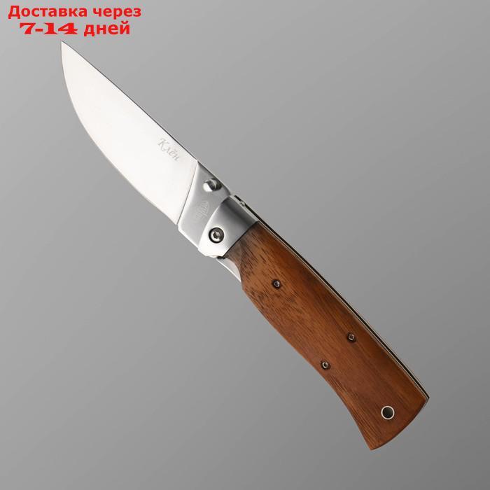 Нож складной "Клён" сталь 65х13, рукоять - гикори, 23 см - фото 2 - id-p227119981