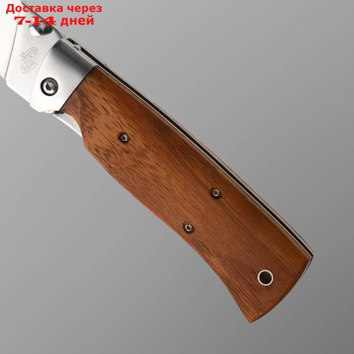 Нож складной "Клён" сталь 65х13, рукоять - гикори, 23 см - фото 3 - id-p227119981
