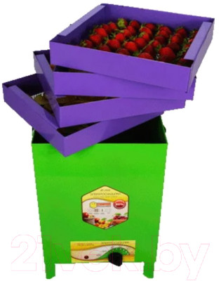 Сушильный шкаф для овощей и фруктов УЗБИ Сухофрукт В02 / 15860 - фото 1 - id-p214021359