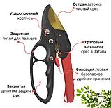 Секатор садовый с защитной ручкой KW 20см, фото 3