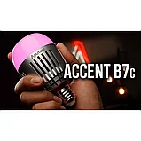 Набор ламп Aputure Accent B7C 8-Light Kit, фото 9