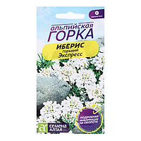 Иберис Экспресс 0,1г Семена Алтая