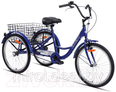 Велосипед AIST Cargo 1.1 2023 - фото 1 - id-p227204150