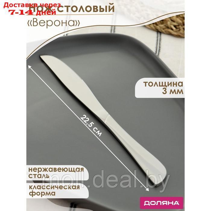 Набор ножей столовых 6 шт, 22,5 см Доляна "Верона" толщина 3 мм - фото 1 - id-p223992724