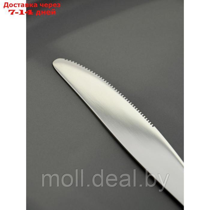 Набор ножей столовых 6 шт, 22,5 см Доляна "Верона" толщина 3 мм - фото 2 - id-p223992724