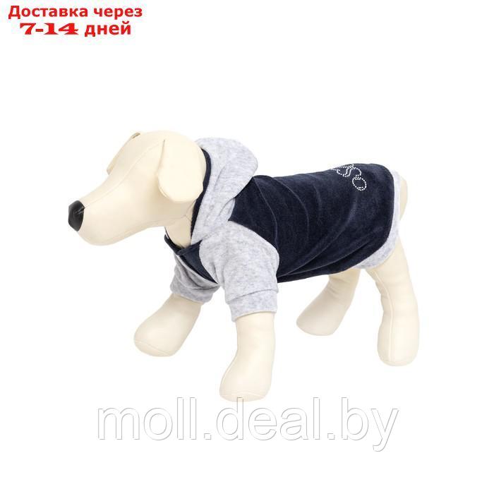 Толстовка с капюшоном Osso для собак, велюр, размер 22 (ДС 22 см, ОГ 32-34 см), графит - фото 3 - id-p226884145