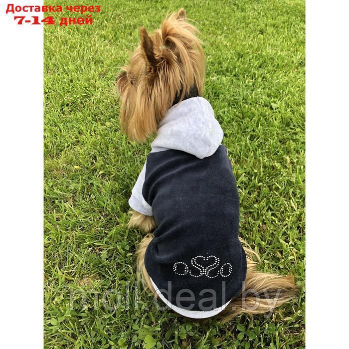 Толстовка с капюшоном Osso для собак, велюр, размер 30 (ДС 30 см, ОГ 37-39 см), графит - фото 1 - id-p226884146