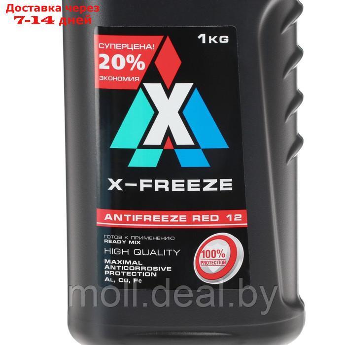 Антифриз X-Freeze Red, 1 кг - фото 2 - id-p226884161