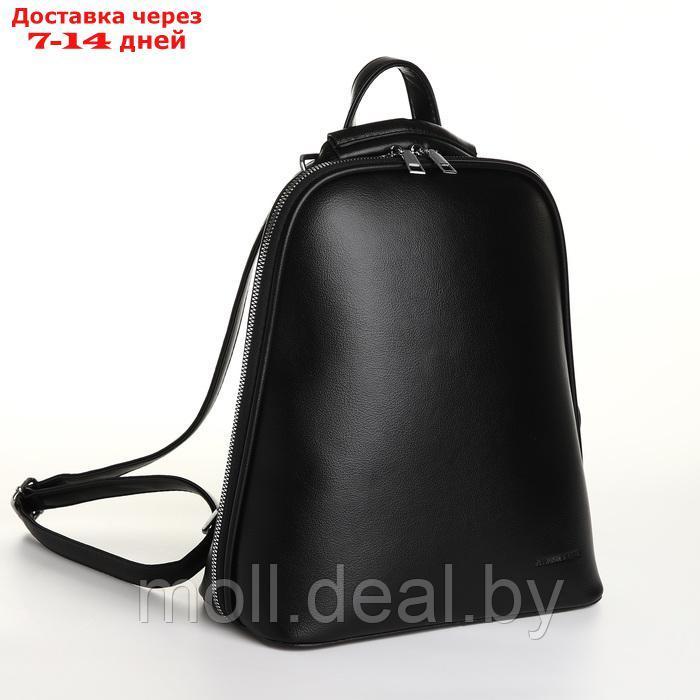 Рюкзак городской из искусственной кожи на молнии, цвет чёрный - фото 1 - id-p226887111