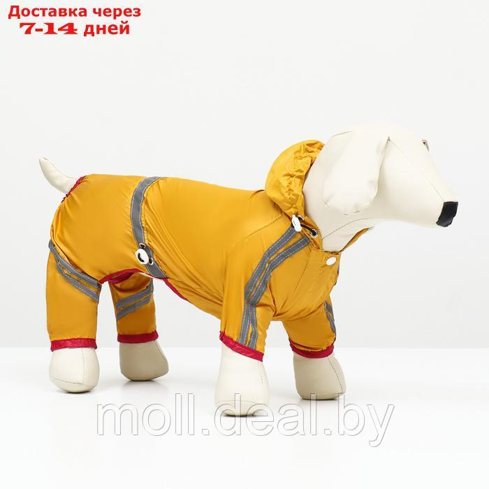 Комбинезон для собак, демисезонный, размер L (ДС 28-30, Ог 43-45, ОШ 31-33 см), жёлтый - фото 1 - id-p226888096