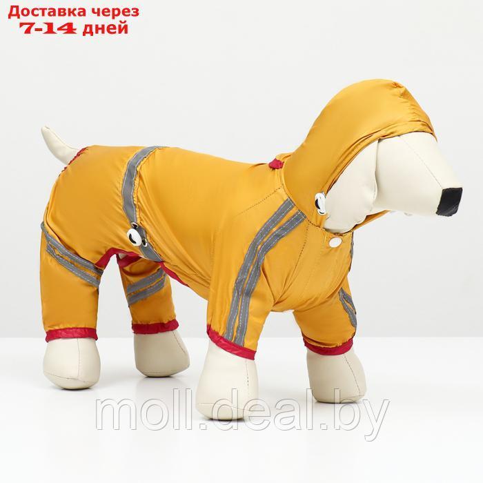 Комбинезон для собак, демисезонный, размер L (ДС 28-30, Ог 43-45, ОШ 31-33 см), жёлтый - фото 3 - id-p226888096
