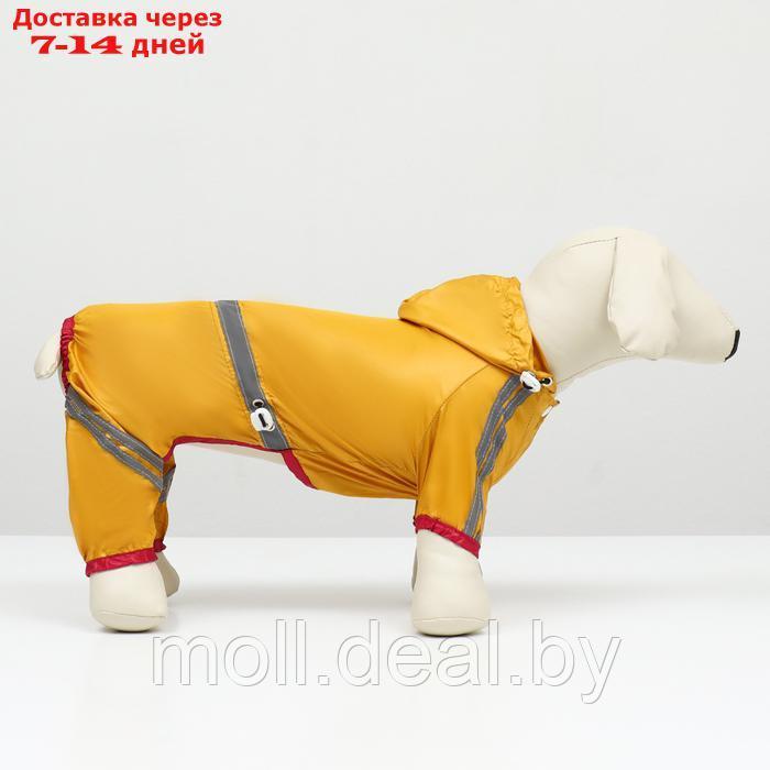 Комбинезон для собак, демисезонный, размер L (ДС 28-30, Ог 43-45, ОШ 31-33 см), жёлтый - фото 4 - id-p226888096