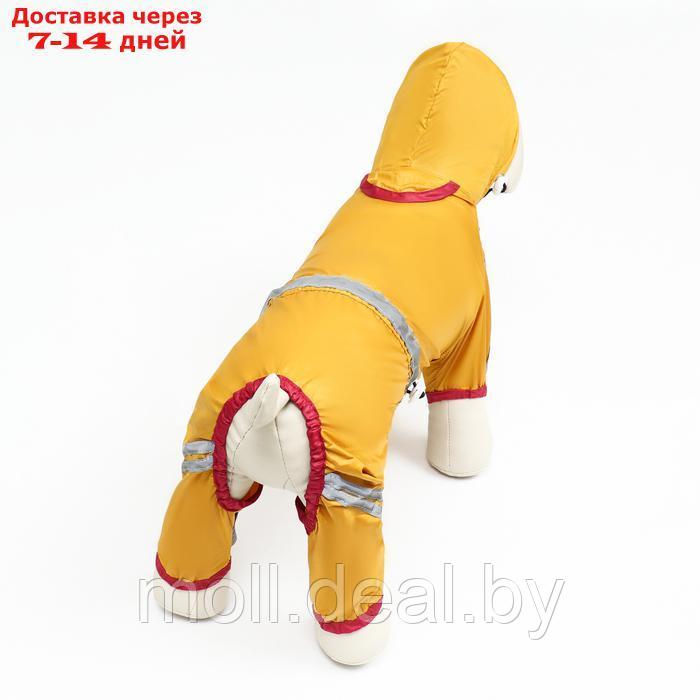 Комбинезон для собак, демисезонный, размер L (ДС 28-30, Ог 43-45, ОШ 31-33 см), жёлтый - фото 5 - id-p226888096