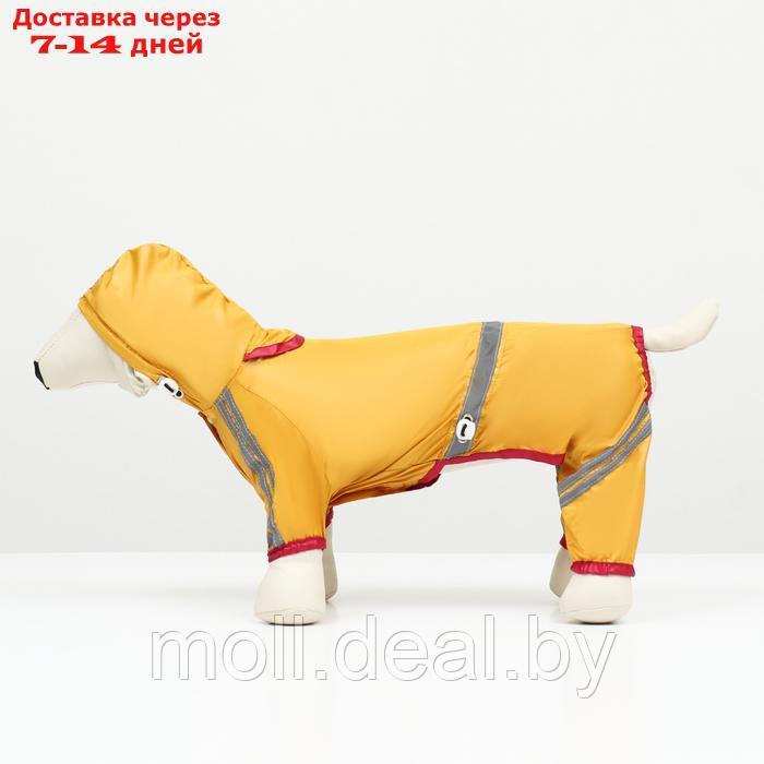Комбинезон для собак, демисезонный, размер L (ДС 28-30, Ог 43-45, ОШ 31-33 см), жёлтый - фото 6 - id-p226888096