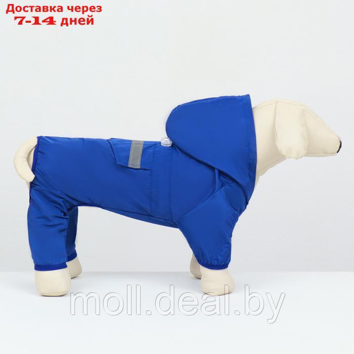 Комбинезон для собак, демисезонный с подкладом, размер 2XL (ДС 42, Ог 56 см), синий - фото 4 - id-p226888098