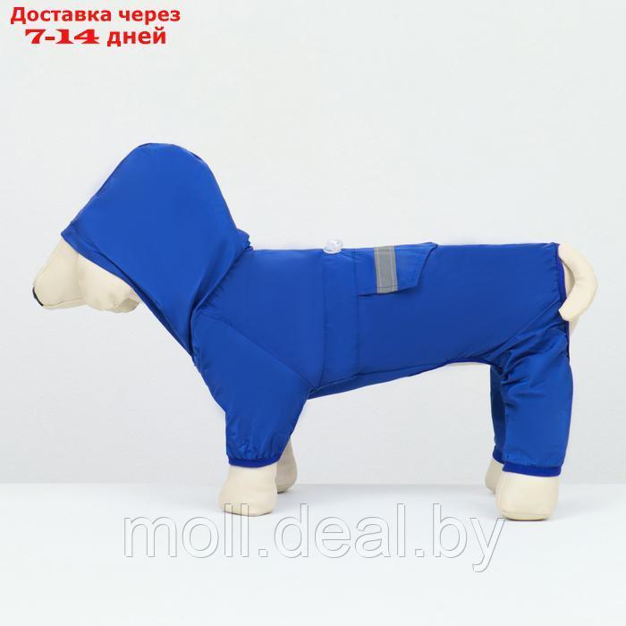 Комбинезон для собак, демисезонный с подкладом, размер 2XL (ДС 42, Ог 56 см), синий - фото 6 - id-p226888098