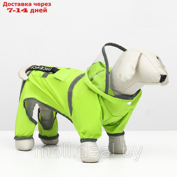 Комбинезон для собак, демисезонный с козырьком, размер М (ДС 32, Ог 45, ОШ 35 см), зелёный - фото 1 - id-p226888101