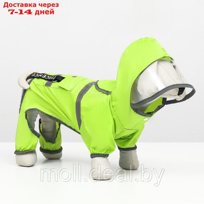 Комбинезон для собак, демисезонный с козырьком, размер М (ДС 32, Ог 45, ОШ 35 см), зелёный - фото 3 - id-p226888101