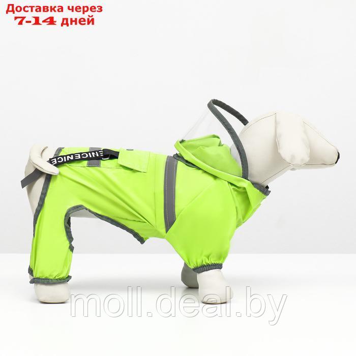 Комбинезон для собак, демисезонный с козырьком, размер М (ДС 32, Ог 45, ОШ 35 см), зелёный - фото 4 - id-p226888101