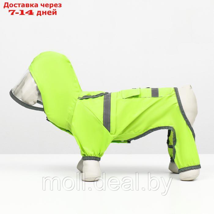 Комбинезон для собак, демисезонный с козырьком, размер М (ДС 32, Ог 45, ОШ 35 см), зелёный - фото 6 - id-p226888101