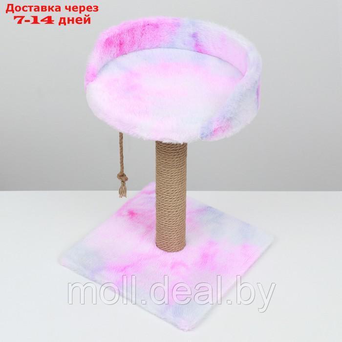 Столбик-когтеточка с лежаком, 35 х 35 х 50 см, розово-белая - фото 6 - id-p226888103