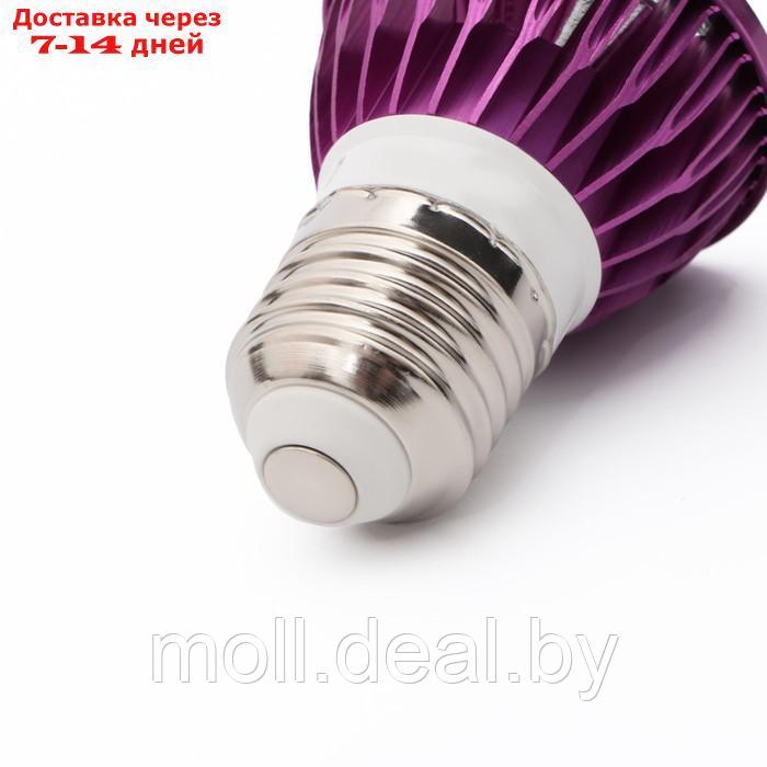 Лампа LED для террариума NomoyPet светодиодная, ночной свет, цоколь Е27 - фото 2 - id-p226888115